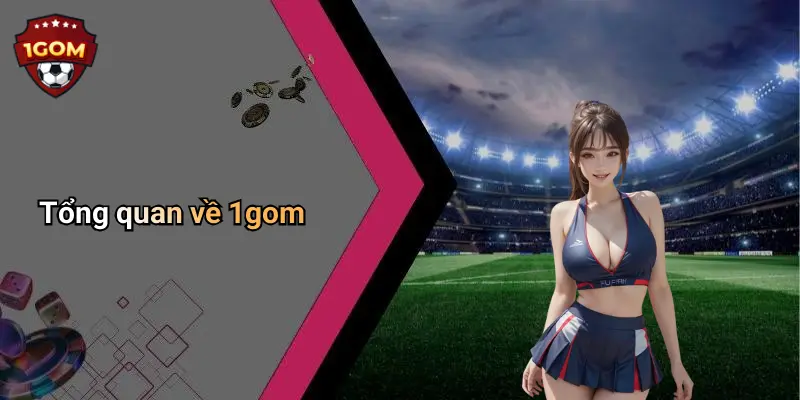 Tổng quan về 1gom