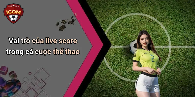 Vai trò của live score trong cá cược thể thao
