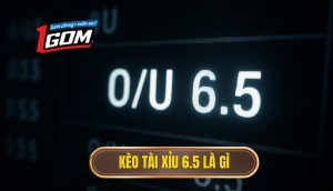 Kèo tài xỉu 6.5 là gì